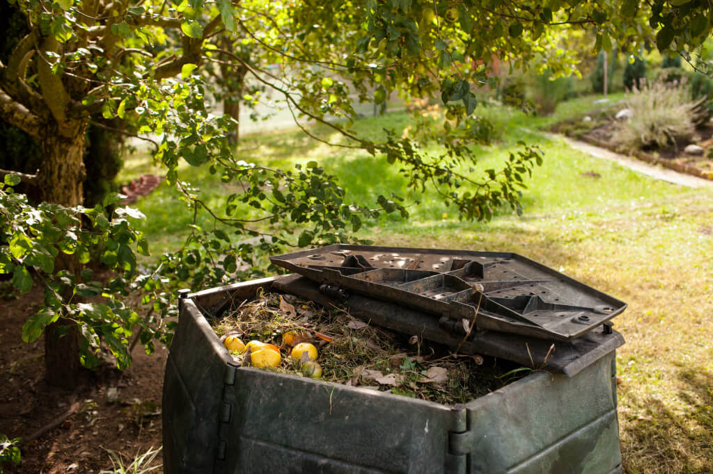 Kompostowanie odpadów zielonych - co wrzucać do kompostownika?